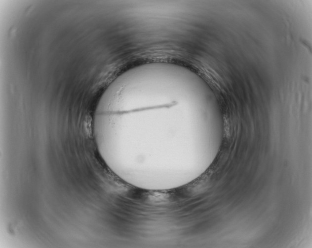 X0000095900718200801110805