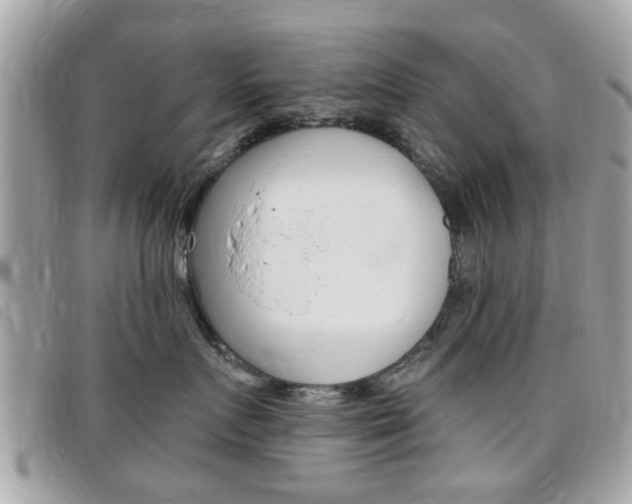 X0000095900719200801110805