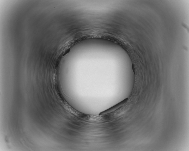 X0000095900720200801110805