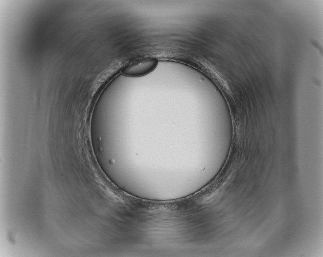 X0000095900721200801110804