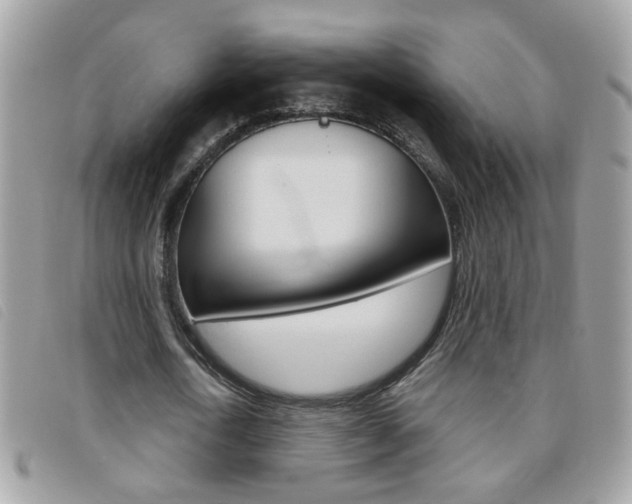 X0000095900722200801110804