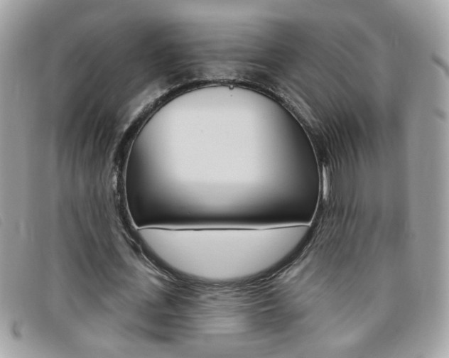 X0000095900723200801110804