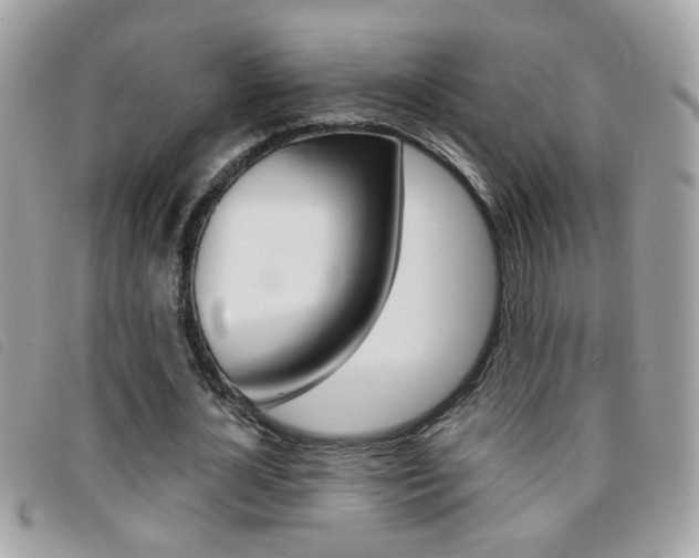 X0000095900724200801110804