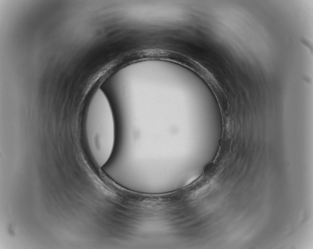 X0000095900725200801110804