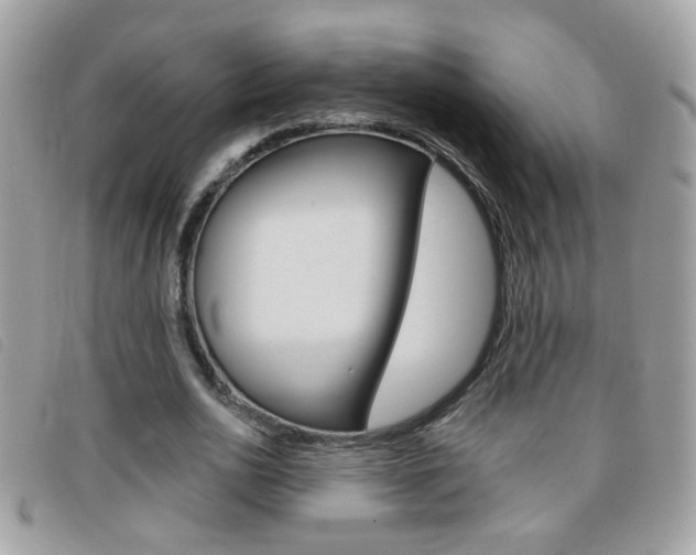 X0000095900726200801110804