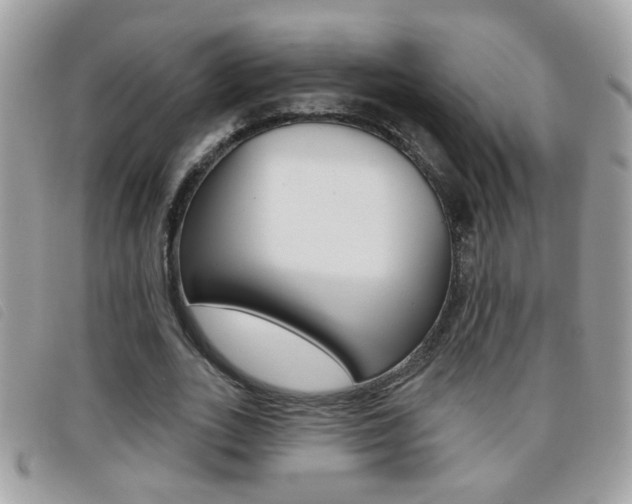 X0000095900727200801110804