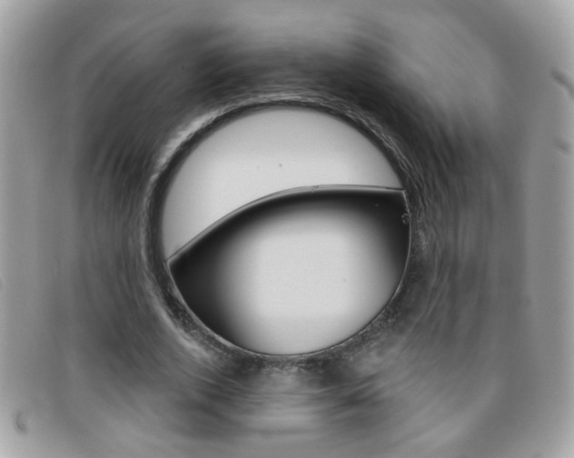 X0000095900728200801110804