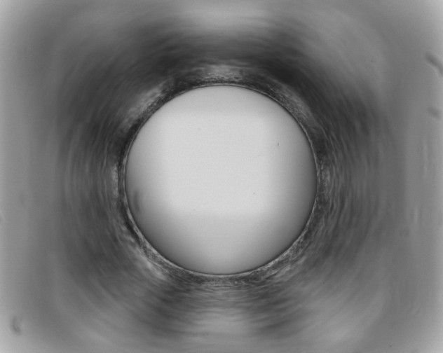 X0000095900729200801110804