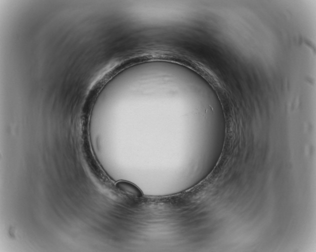 X0000095900730200801110804