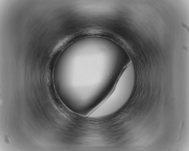 X0000095900732200801110804