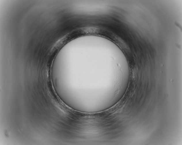 X0000095900733200801110804
