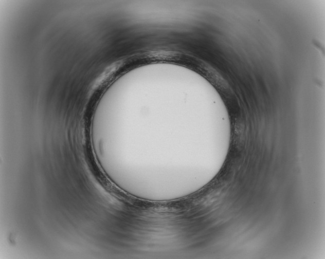 X0000095900734200801110804
