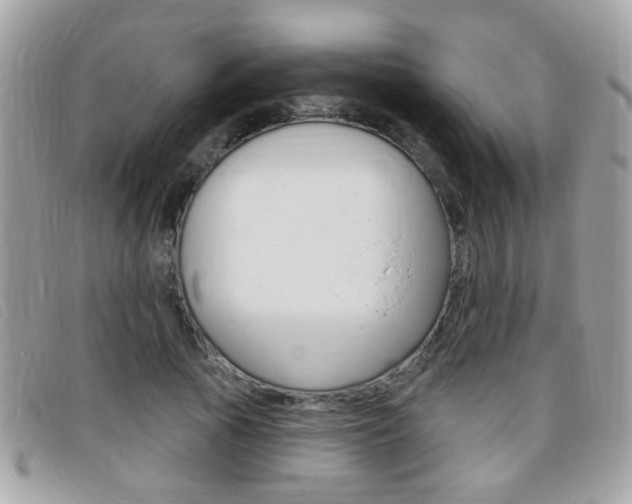 X0000095900737200801110804