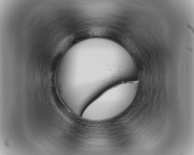 X0000095900738200801110804