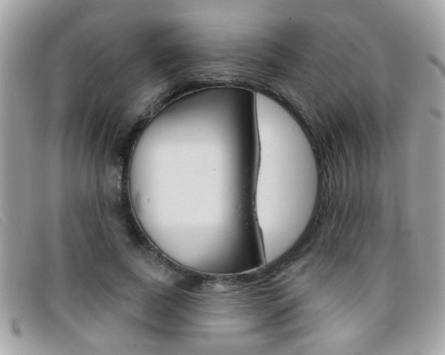 X0000095900739200801110804