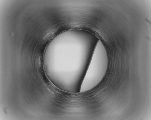 X0000095900740200801110804