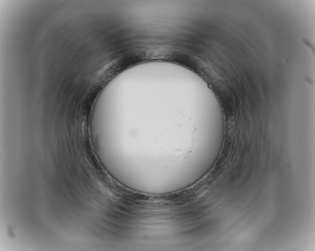 X0000095900741200801110804