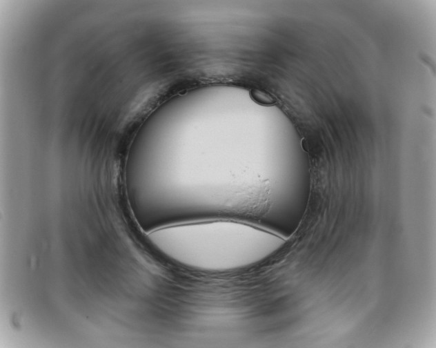 X0000095900742200801110804