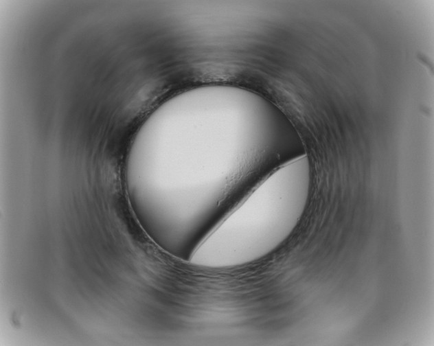 X0000095900743200801110804