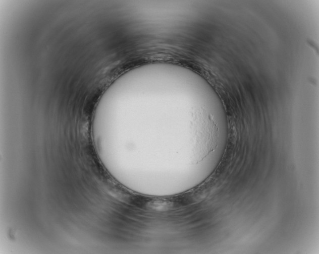 X0000095900745200801110804