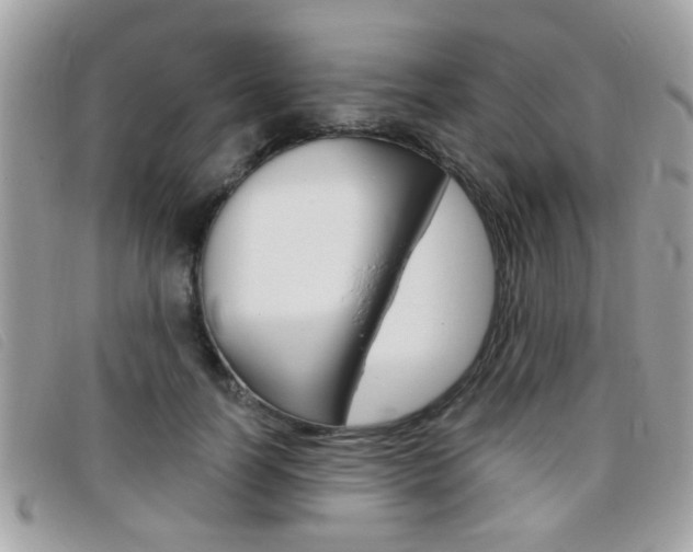 X0000095900746200801110804