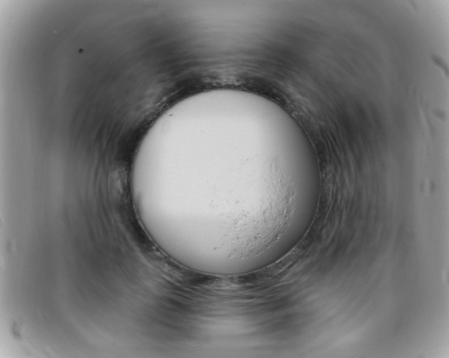 X0000095900747200801110804