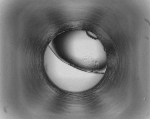 X0000095900748200801110804