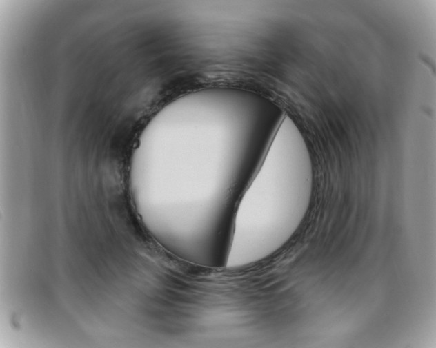 X0000095900751200801110804