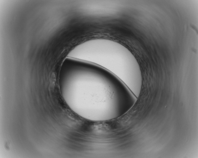 X0000095900752200801110804