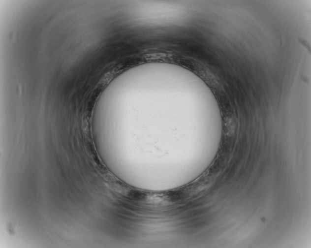 X0000095900753200801110804
