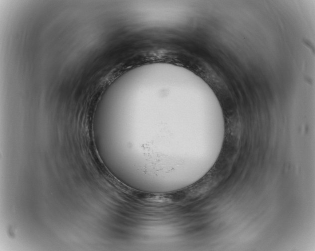 X0000095900754200801110804