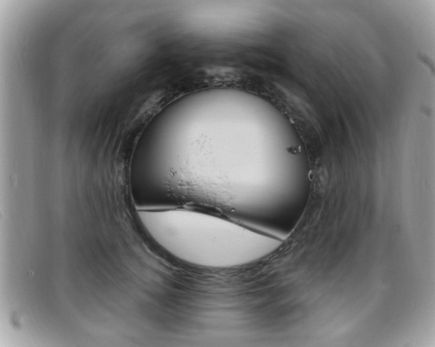 X0000095900756200801110804