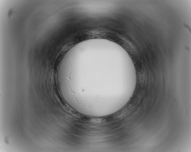 X0000095900757200801110804