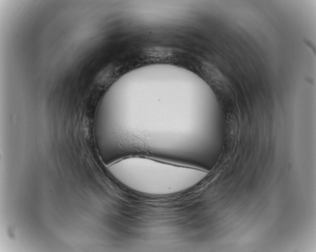X0000095900758200801110804