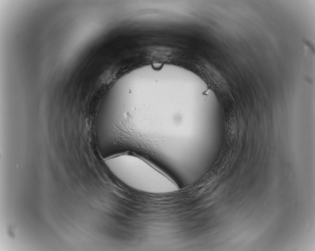 X0000095900759200801110804