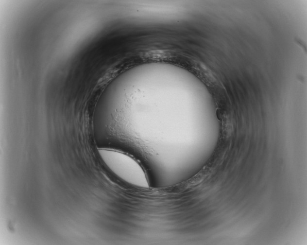 X0000095900760200801110804