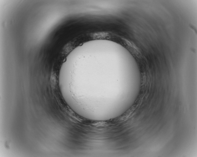 X0000095900761200801110804