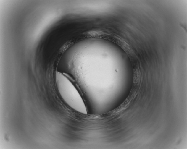 X0000095900762200801110804