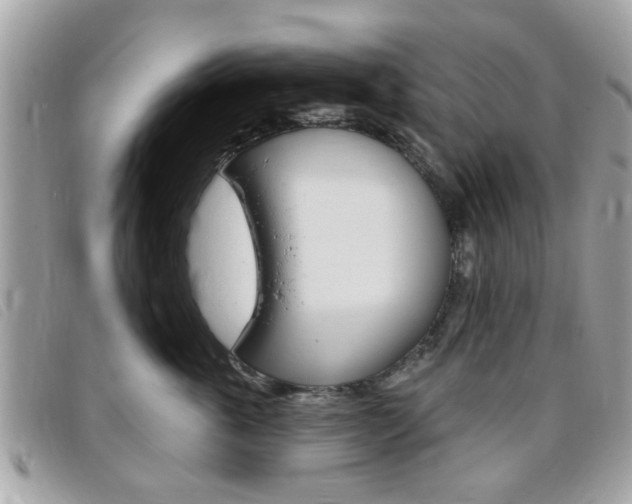 X0000095900763200801110805