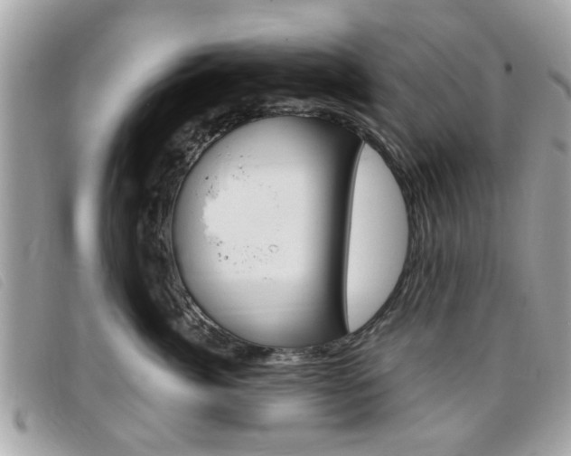 X0000095900764200801110805