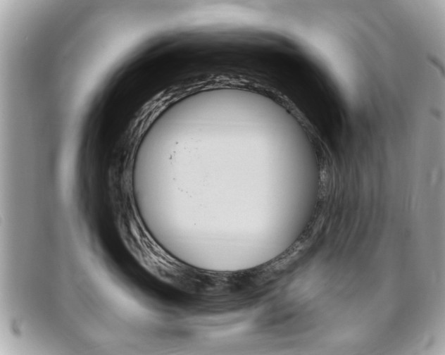 X0000095900765200801110805