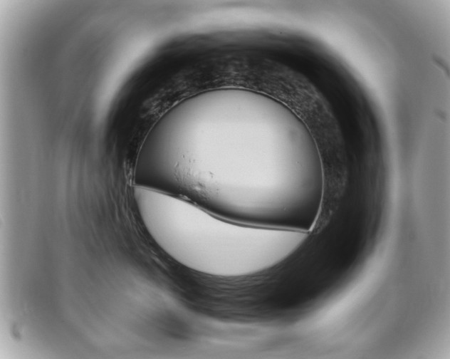 X0000095900766200801110805