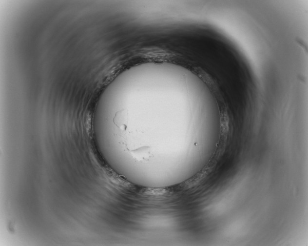 X0000095900767200801110805