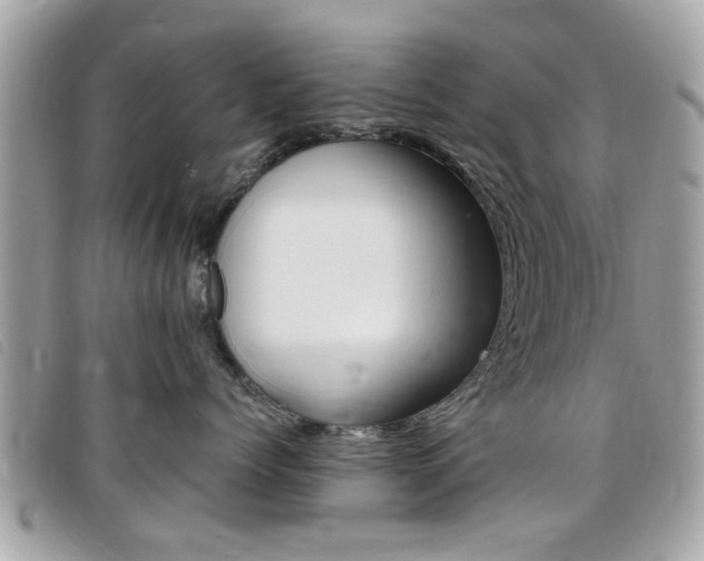 X0000095900768200801110805