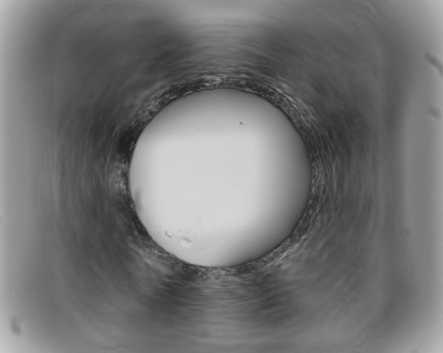 X0000095900770200801110804