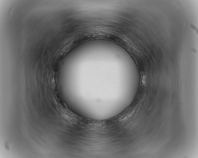 X0000095900771200801110804