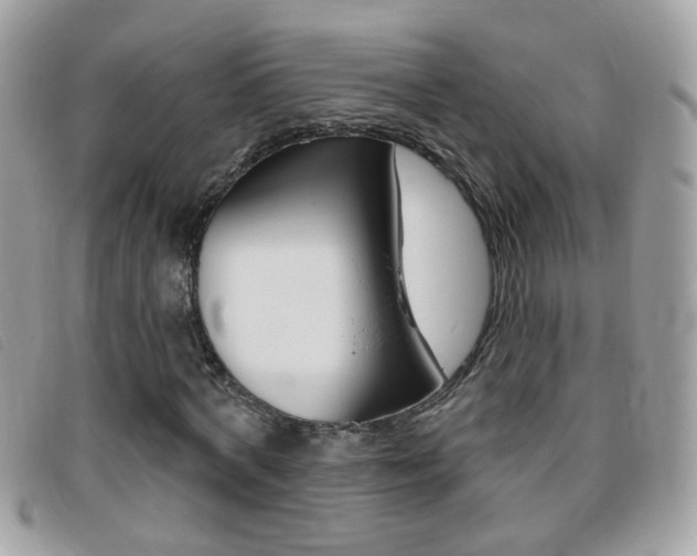 X0000095900772200801110804