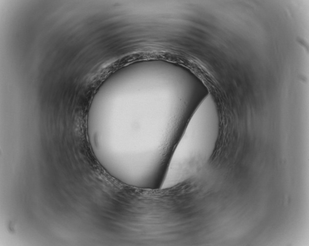 X0000095900773200801110804