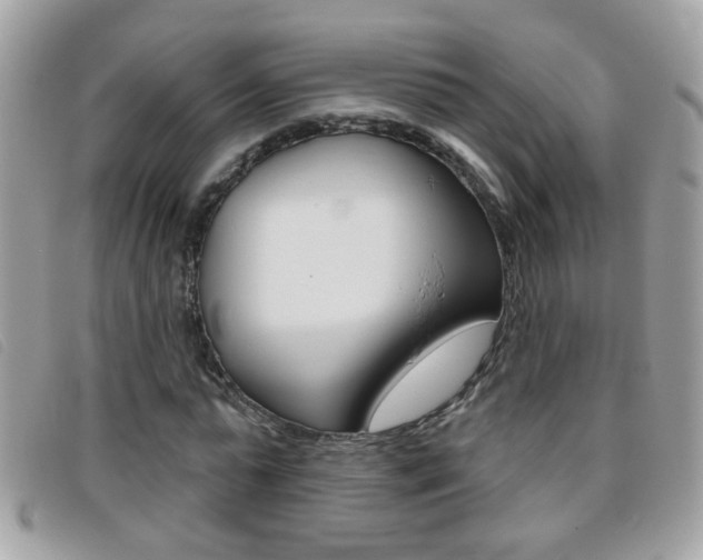 X0000095900775200801110804