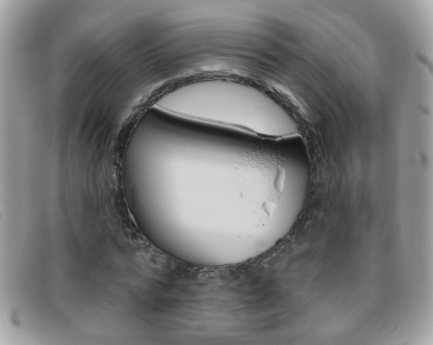 X0000095900776200801110804
